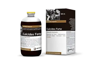 CALCIDEX FORTE | CALFOSMIN D