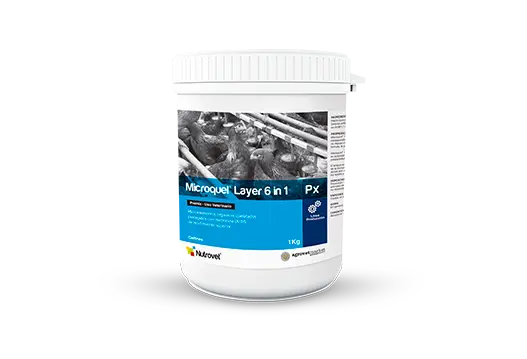 Microquel® Layer 6 in 1 Px