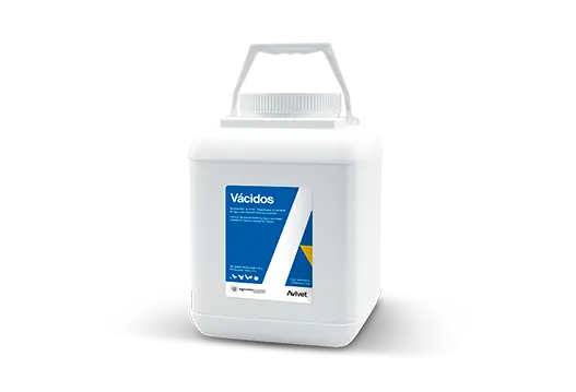 VACIDOS