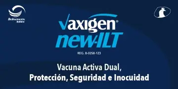 Vaxigen New-ILT
