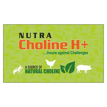 NUTRA CHOLINE H+®