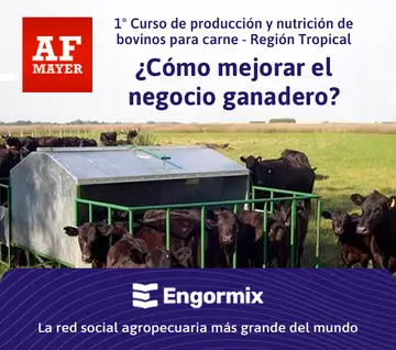 1º Curso de producción y nutrición de bovinos para carne - Región Tropical-