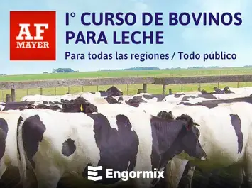 1° Curso de bovinos para leche