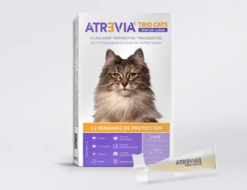Atrevia® TRIO CATS SPOT ON Large