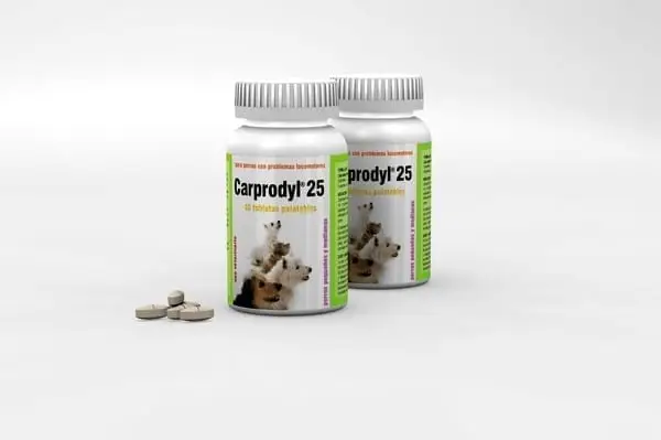 Carprodyl® 25