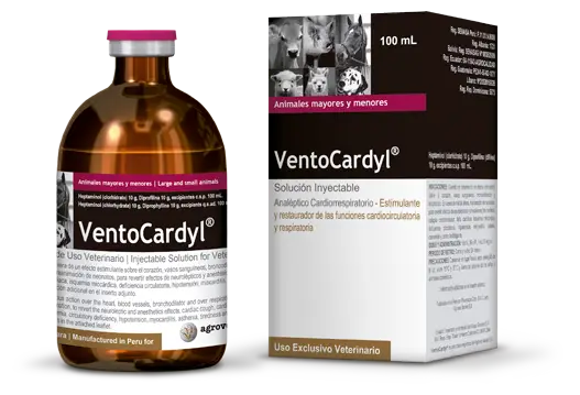 Vento-Cardyl®