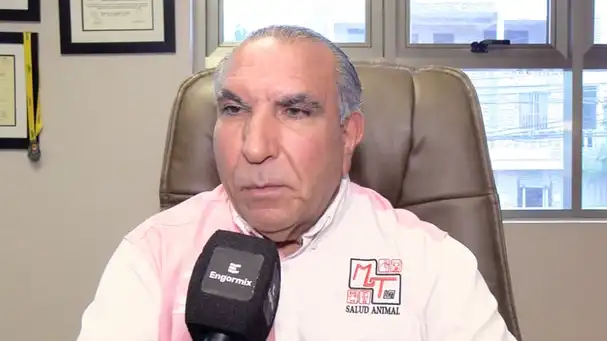 Manuel Tejada Candelier relata la evolución y expansión de Manuel Tejada y Asociados