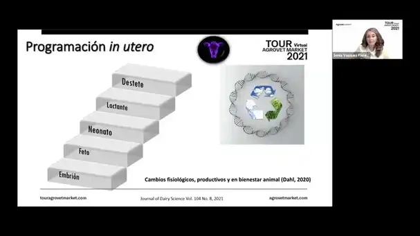 Aspectos fundamentales de la recría para un futuro exitoso: Epigenética