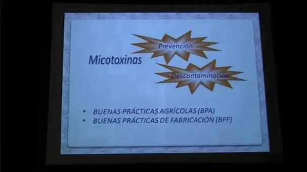 Micotoxinas: Control efectivo