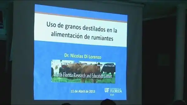 Granos destilados en rumiantes. Dr. DiLorenzo | Engormix