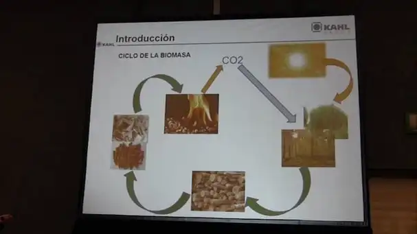 Usos del peletizado en biomasas y residuos de granjas