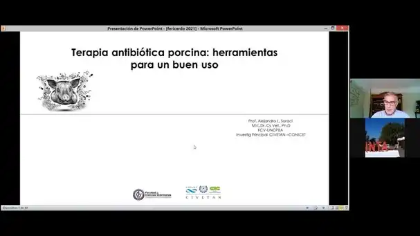 Terapia antibiótica porcina: Alejandro Soraci