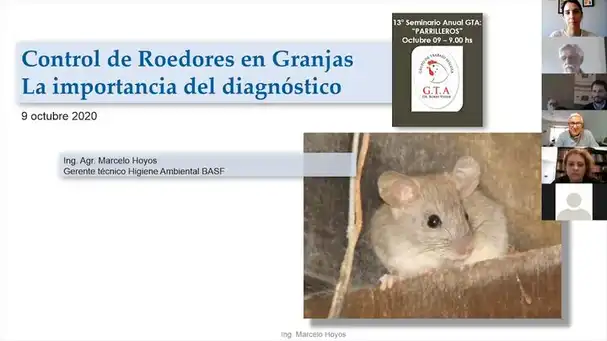 Control de roedores en granjas: Marcelo Hoyos