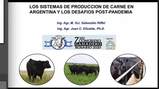 Los sistemas de producción de carne en Argentina y los desafíos post-pandemia, M. Sci. Sebastián Riffel