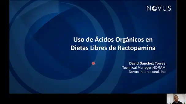 Uso de ácidos orgánicos en dietas libres de Ractopamina