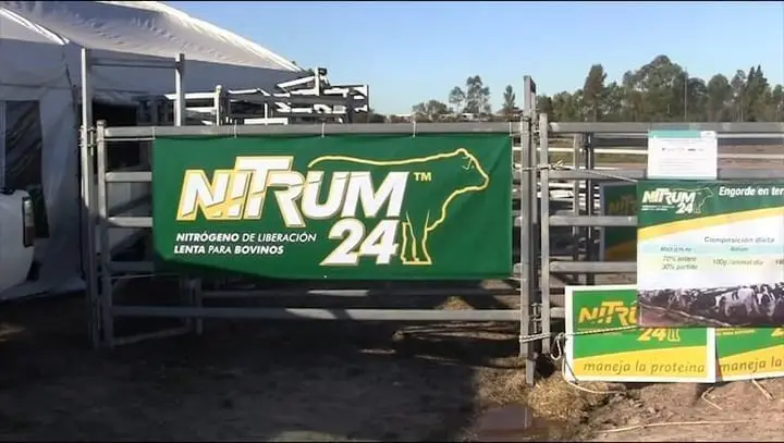 NITRUM 24