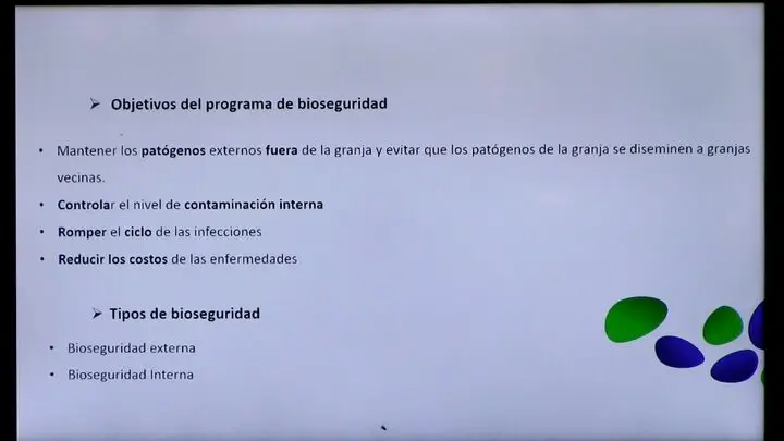 Rapid Neopigg® - Programa para fase de recría en cerdos