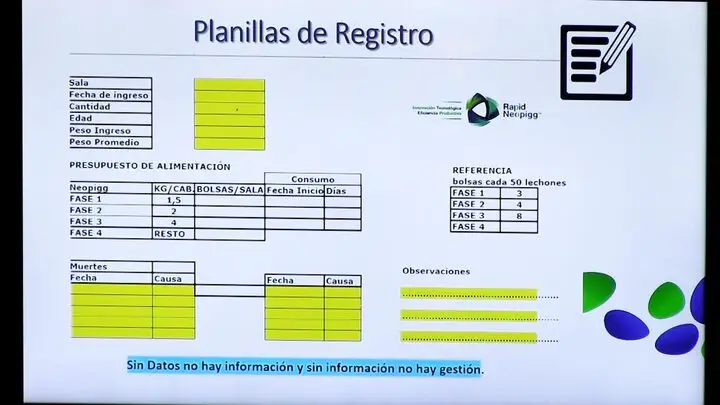 Rapid Neopigg® - Programa para fase de recría en cerdos