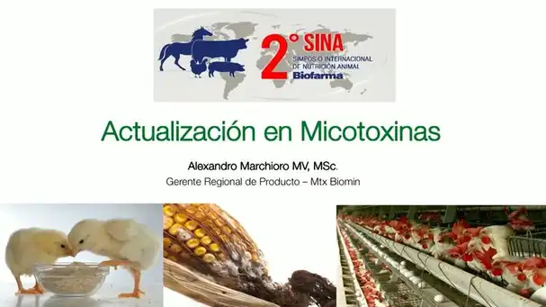 Actualización en micotoxinas: Alexandro Marchioro