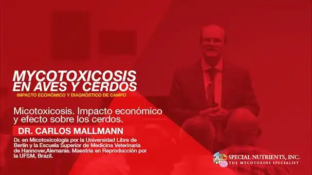 Micotoxicosis: Impacto económico y efecto sobre los cerdos, Dr. Carlos Mallmann