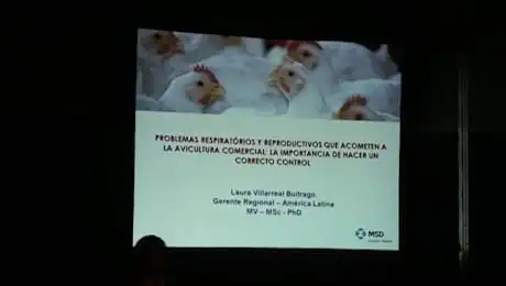 Problemas Respiratorios en Avicultura, Laura Villareal Buitrago (MSD Animal Health)