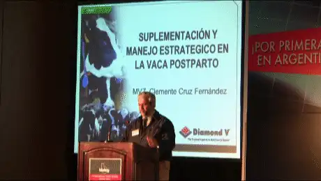 Vaca post-parto, Suplementación y manejo. Clemente Cruz Fernandez